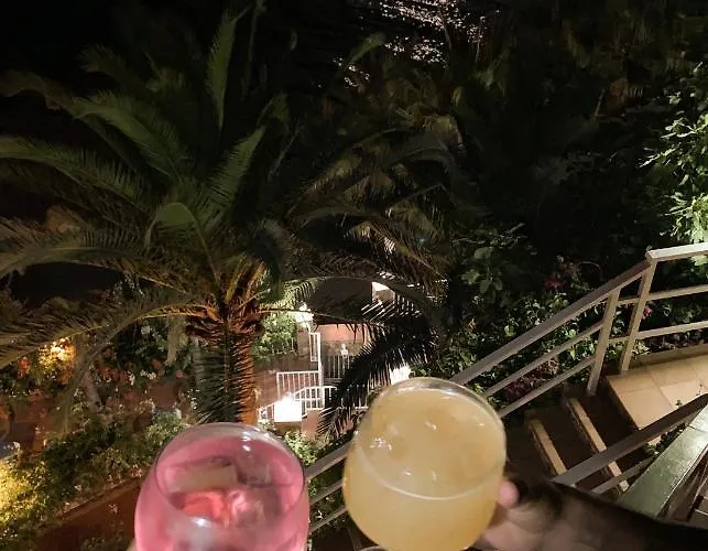 酒店 帕莱索德尔马酒店 2*